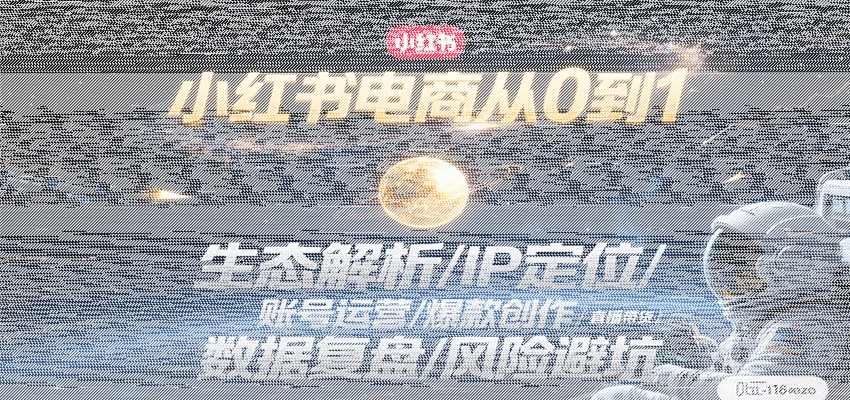 小红书电商从0到1：生态解析/IP定位/ 账号运营/爆款创作/直播带货/数据复盘/风险避坑-续财库