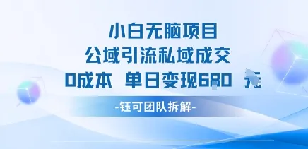 小白无脑项目公域引流私域成交0成本单日变现680米-续财库