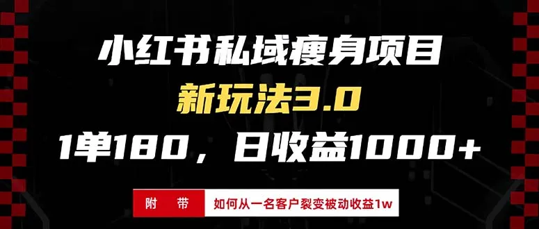 小红书瘦身项目3.0模式，新手小白日赚收益1000+(附从一名客户裂变收益...-续财库