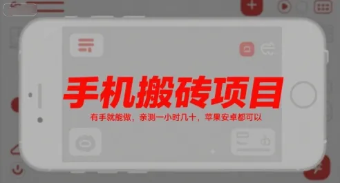 手机搬砖项目，有手就能做，亲测一小时几十，苹果安卓都可以-续财库