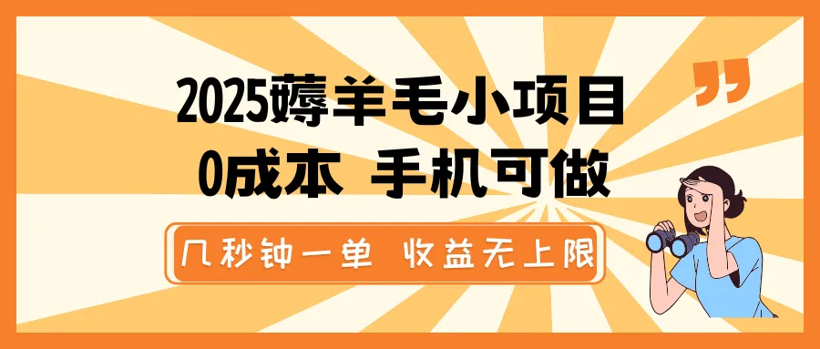 2025薅羊毛小项目，0成本 手机可做，几秒钟一单，收益无上限-续财库