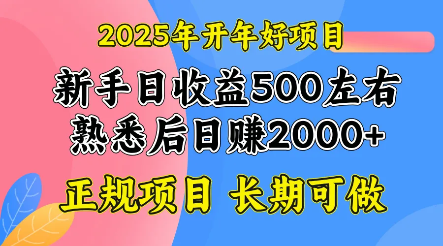 2025开年好项目，单号日收益2000左右-续财库