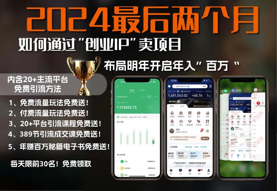 2024最后两个月如何通过”创业IP“卖项目年入”百万“,创业IP+最强引流...-续财库