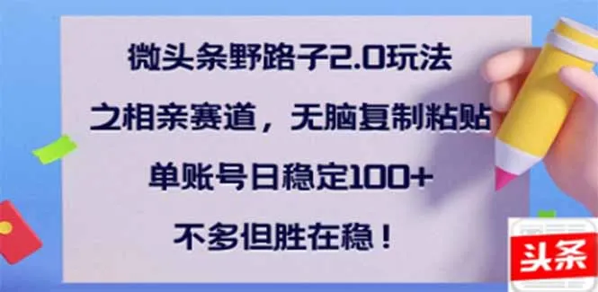 微头条野路子2.0玩法之相亲赛道，无脑搬砖复制粘贴，单账号日稳定300+...-续财库