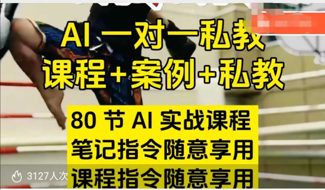 AI指令实战课,课程+案例,80节AI实战课程,笔记指令随意享用,课程指令随意享用(更新7月)-续财库