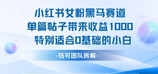 小红书女粉黑马赛道单篇帖子带来收益1k+，特别适合0基础的小白-续财库