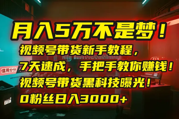 月入5万不是梦!视频号带货新手教程,7天速成,手把手教你赚钱!视频号...-续财库