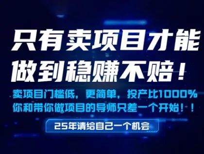 只有卖项目才能做到稳挣不赔，门槛低，更简单，你也可以年入百个W【揭秘】-续财库