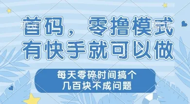 首码零撸项目,有快手就可以做,每天业务时间搞个几张不是问题【揭秘】-续财库