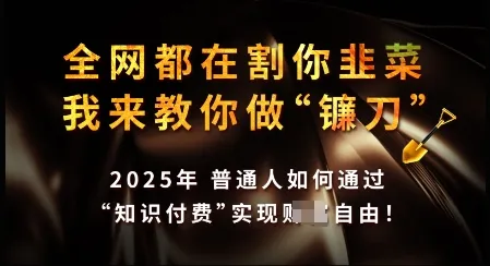 知识付费如何做到月入过W+,2025我来教你做“镰刀”【揭秘】-续财库