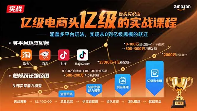 亿级电商头部卖家的实战课程：涵盖多平台玩法，实现从0到亿级规模的跃迁-续财库