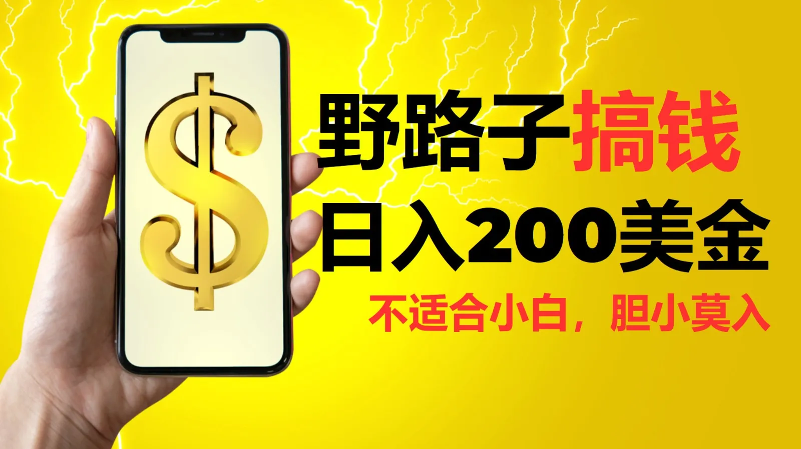 挂机野路子搞钱,日入200美金,路子很野,小白莫入-续财库