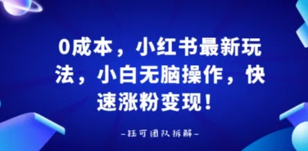 0成本，小红书最新玩法，小白无脑操作，快速涨粉变现-续财库