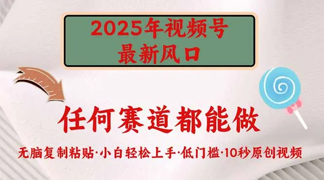 2025年视频号新风口,低门槛只需要无脑执行-续财库