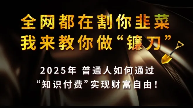 全网都在割你韭菜，我来教你做镰刀,2025普通人如何通过知识付费，实现财F自由【揭秘】-续财库