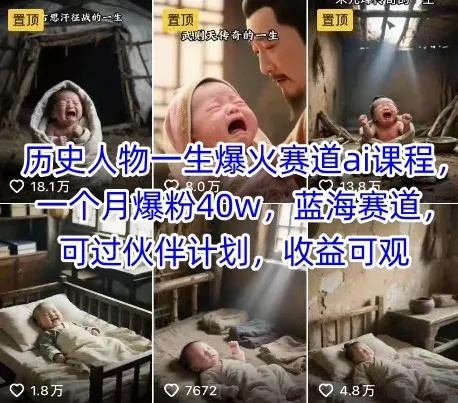 历史人物一生爆火赛道ai课程，一个月爆粉40w，蓝海赛道，可过伙伴计划，收益可观-续财库