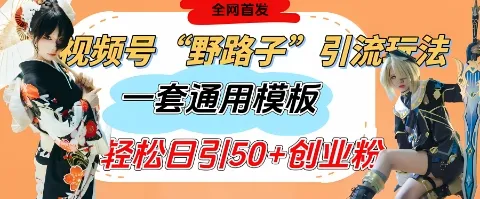 视频号“野路子”玩法，评论区疯狂截流，一套模板单日单号引流50+创业粉-续财库
