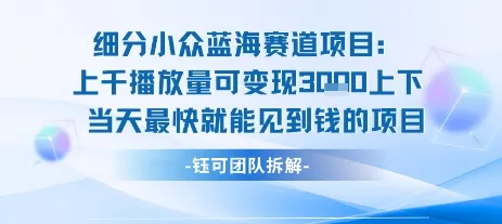 小众蓝海赛道项目：当天变现1k+适合新手操作 +适合长期玩-续财库
