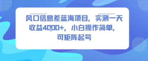 风口信息差蓝海项目,实测一天收益4k+,小白操作简单,可矩阵起号-续财库