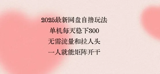 2025最新网盘自撸玩法，单机每天稳下3张，无需流量和拉人头，一个人就可轻松矩阵，全网独一份【揭秘】-续财库