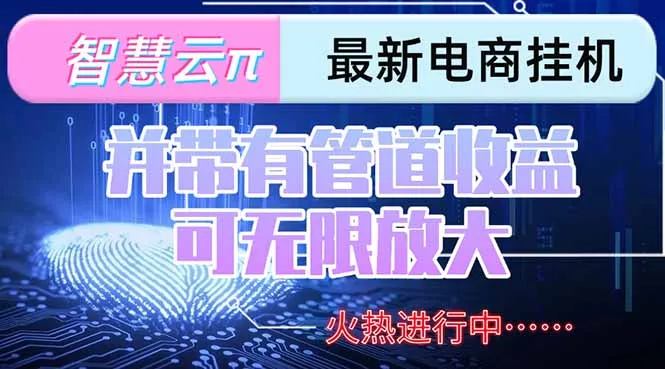 智慧云π电脑挂机单机每天收益300—500+ 并带有团队管道收益 可无限放大-续财库