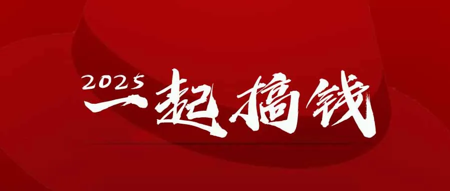 2025年，请“不择手段”去搞钱!-续财库