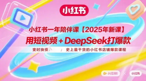 小红书一年陪伴课【2025年新课】，用短视频+deepSeek打爆款，史上最干货的小红书店铺爆款课程-续财库