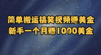 简单搬运搞笑视频挣美金，新手一个月入1k美金-续财库