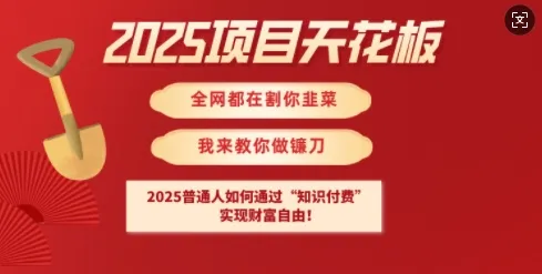 2025项目天花板普通人如何通过知识付费,实现财F自由【揭秘】-续财库